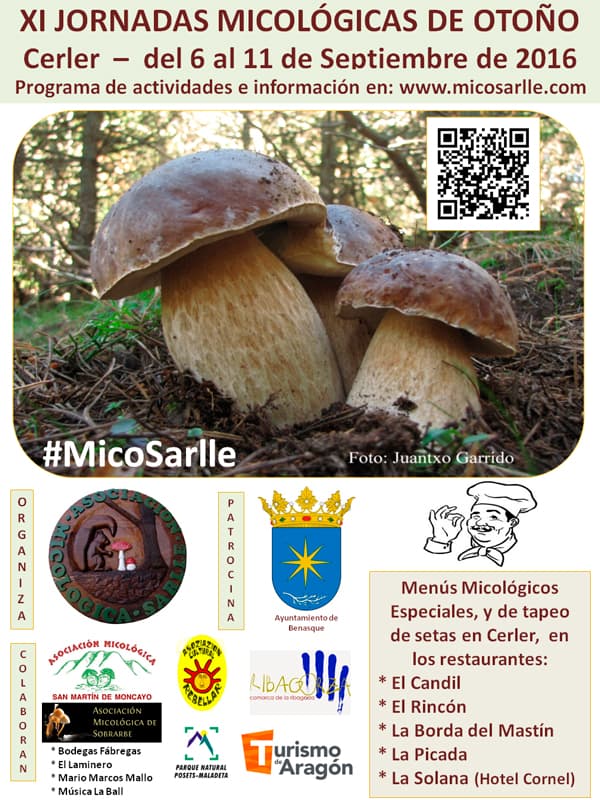 Cartel XI Jornadas Otoño 2016 en Cerler