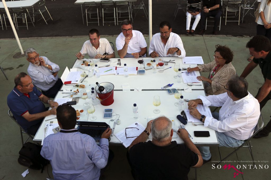 JURADO CONCURSO DE TAPAS en fase final Festival Vino Somontano 2016 ©Video Producto Online_MG_jurado_2 copia
