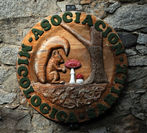 logo de la asociación micológica sarlle