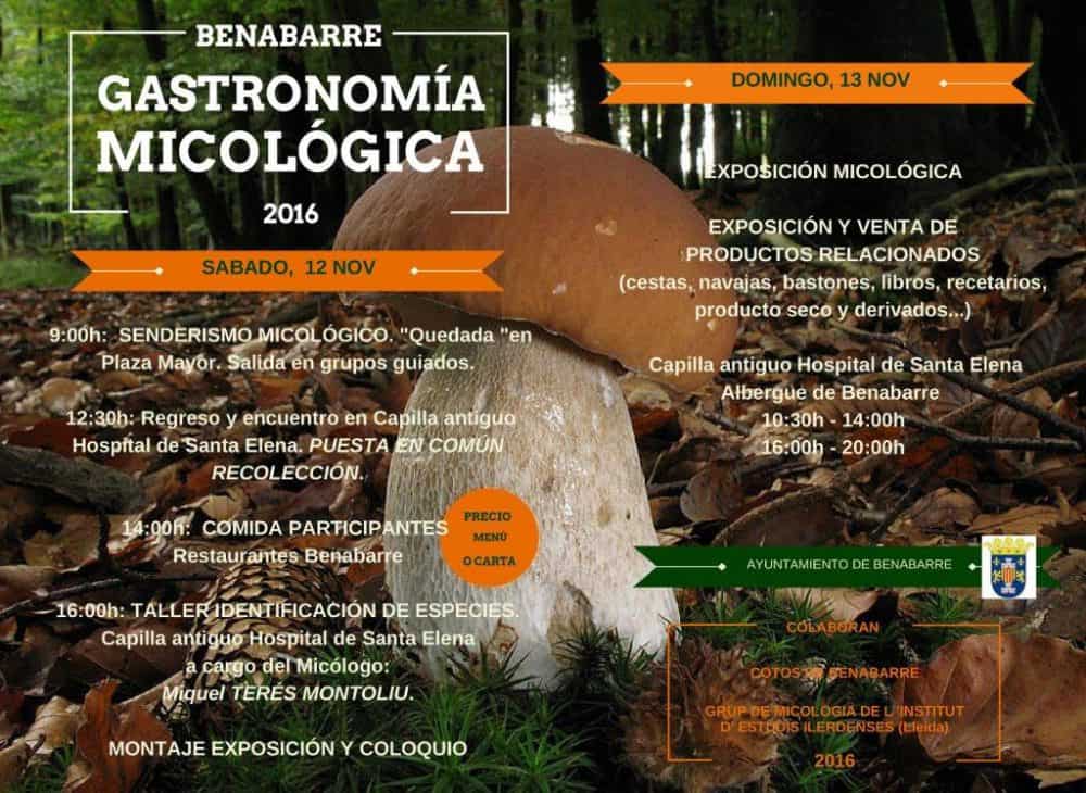 cartel de la convocatoria