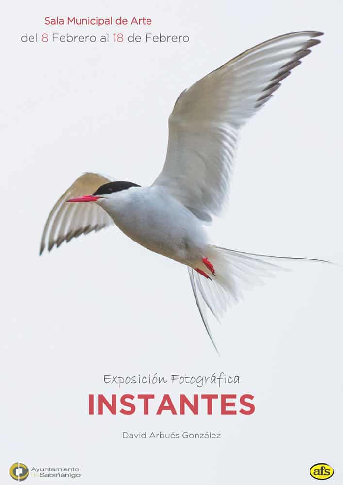 Exposición-fotográfica-David-Arbués