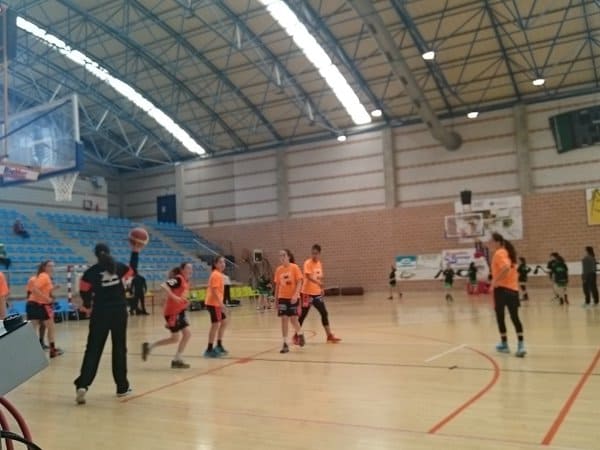 Zarabasket Cup