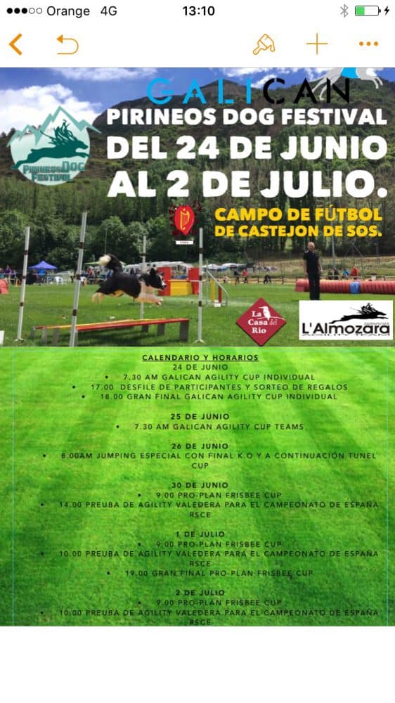 Cartel PIRINEOS DOG FESTIVAL 2017