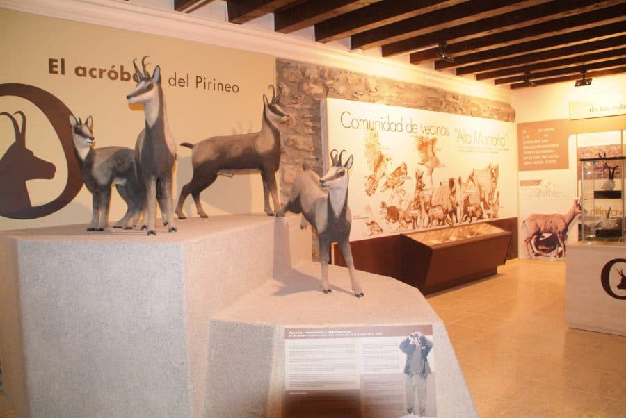 Todos los museos de Ribagorza sin salir de Casa Heredia en Graus