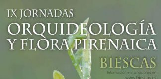 BIESCAS: IX Jornadas Orquideología y Flora Pirenaica, 8, 9 y 10 junio