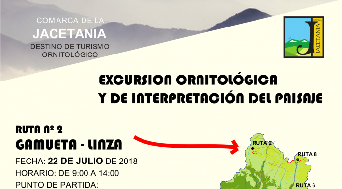 GAMUETA-LINZA: Excursión ornitológica el 22