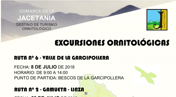 Excursiones ornitológicas por la Jacetania