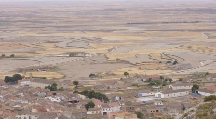 La Almolda: fiestas de la virgen de la Asunción y san Roque