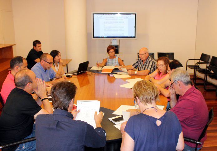 Reunión de la Comisión de Desarrollo de la DPH (Fotografía: Servicio especial)