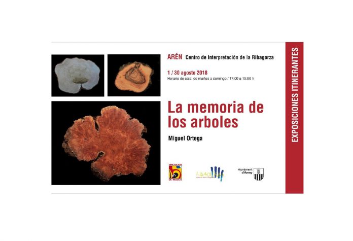 arén exposición
