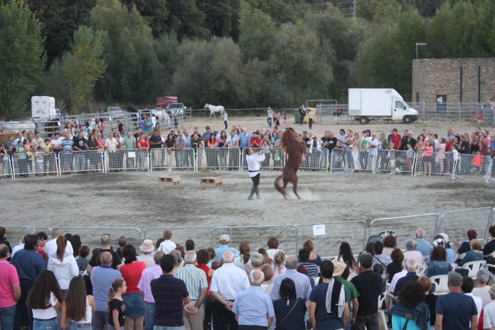 Espectáculo ecuestre que supuso el colofón de la feria ganadera (Foto: José Manuel Betato)