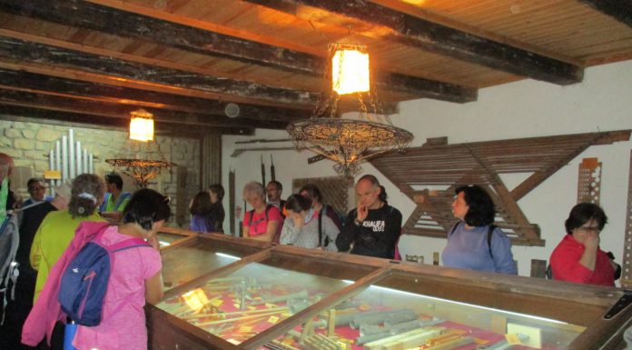 Éxito de la 10ª ruta del madroño celebrada en la Galliguera