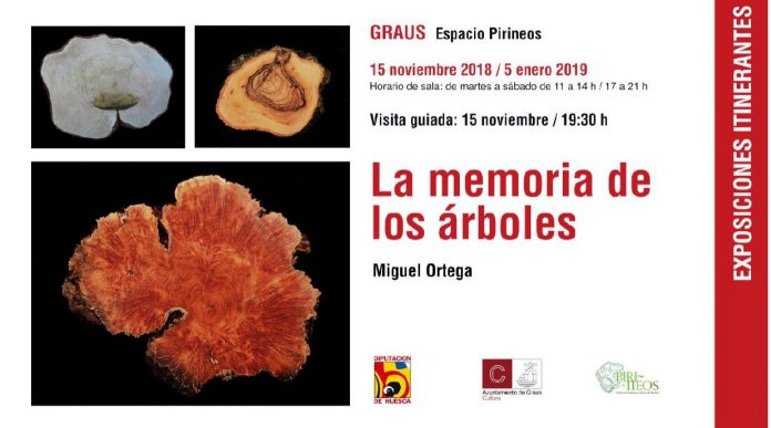 Graus exposición la memoria de los árboles