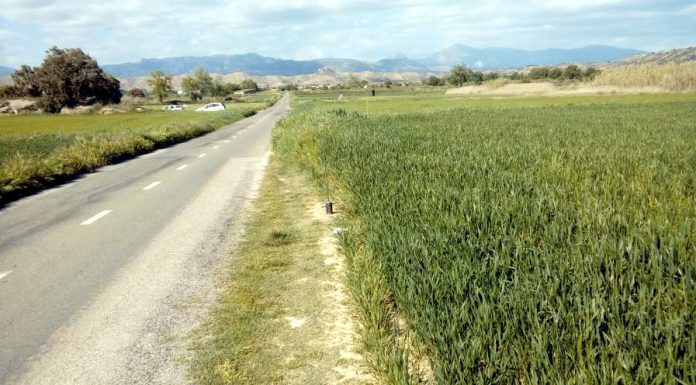 La DPH adjudica cerca de un millón de euros a las obras en la carretera a Tierz y Bellestar, y termina los accesos a Monflorite y Pompenillo