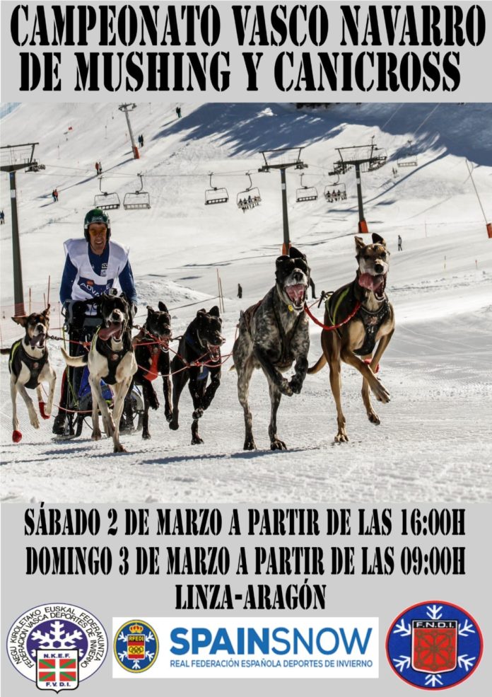 CArtel campeonato