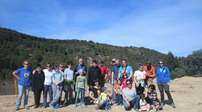 Buena reforestación de la escombrera de Biscarrués 2019