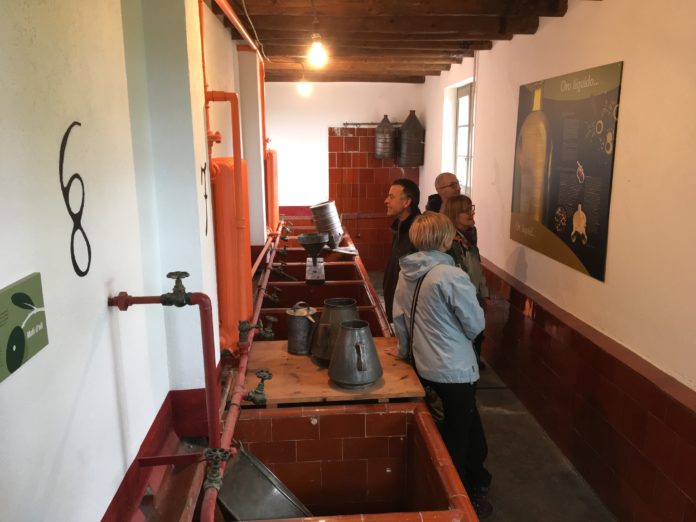 Visitantes en el molino de aceite de Benabarre (Foto: Servicio especial)