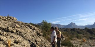 Descubierta una nueva especie de cangrejo fósil en La Puebla de Roda