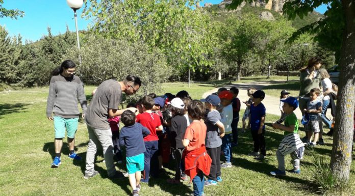 Alumnos de Ayerbe, Lupiñén y Bolea de encuentro
