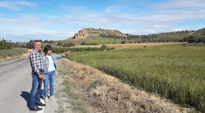 Impulso a las expropiaciones para el acondicionamiento de la carretera entre Binéfar y Binaced