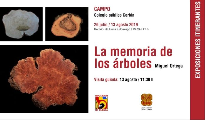 Campo. Cartel de la exposición