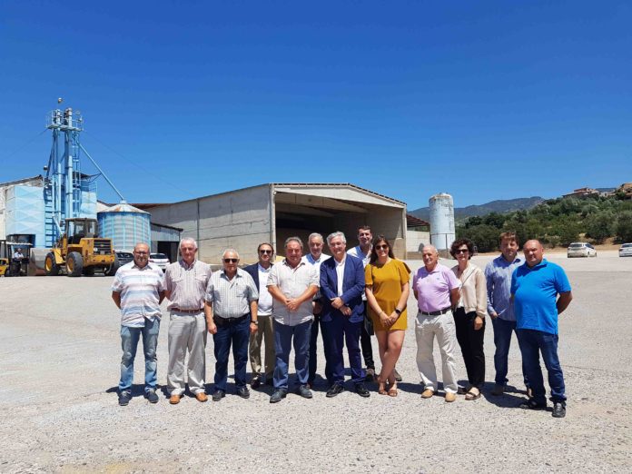 web estadilla coop-1