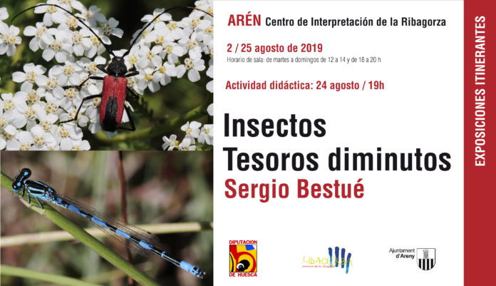 Exposición en Arén