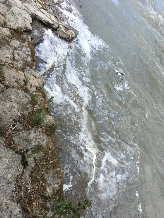 Esumas en el río Ésera (Foto: Servicio especial)