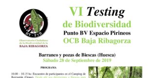 Biescas de Obarra VI Testing Biescas 28-9-2019