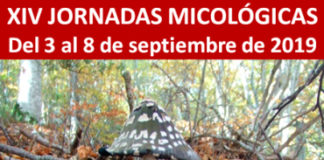 Cartel de las Jornadas