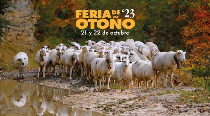 Feria de Otoño. 21-22 de octubre. Biescas