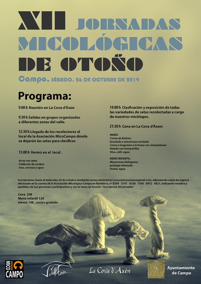 Campo. Jornadas micológicas