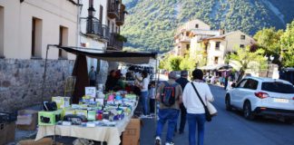 Feriantes y feriados en la pasada edición de la feria castejonense (Foto: Angel Gayúbar)