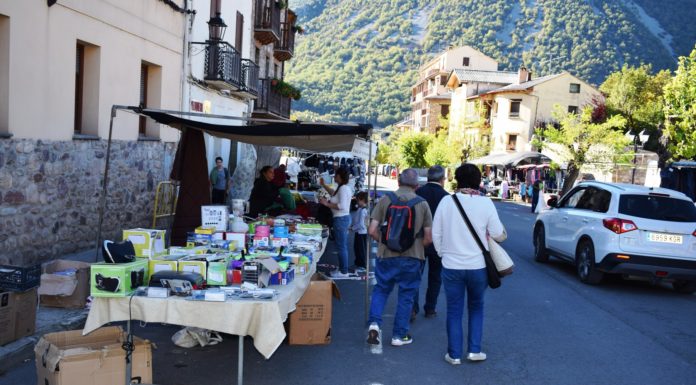 Feria de Antigüedades y Almoneda. 12-15 agosto. Castejón de Sos. Feriantes y feriados en la pasada edición de la feria castejonense (Foto: Angel Gayúbar)