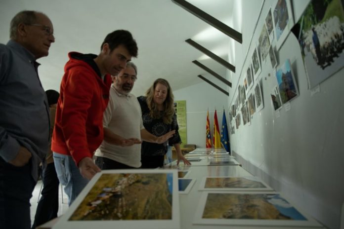 El jurado analizando las fotos presentadas a concurso (Foto: Esther Cereza)