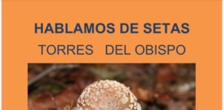 Torres del Obispo - Charla de iniciación a la micología