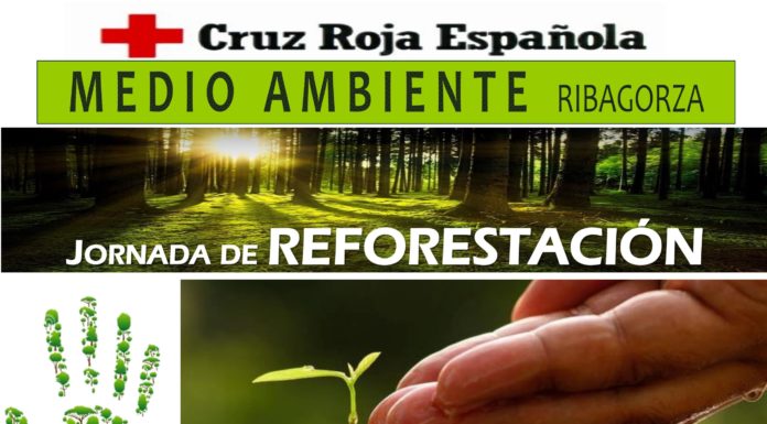 Graus Jornada de reforestación