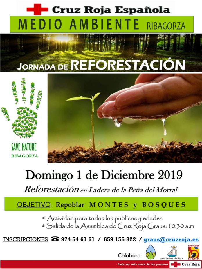Graus Jornada de reforestación