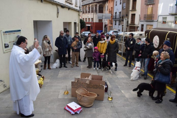Bendición de animales en Graus (Foto: Angel Gayúbar)