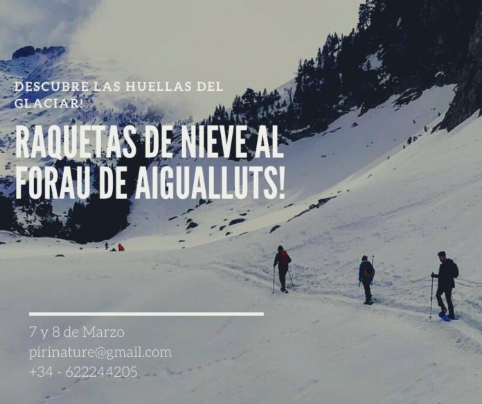 Cartel anunciador de la excursión