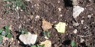 Ecologistas en Acción solicita información sobre el vertido de residuos de FIBRIN en el término de Binaced