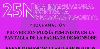 Día Internacional de la Eliminación de la Violencia contra las Mujeres