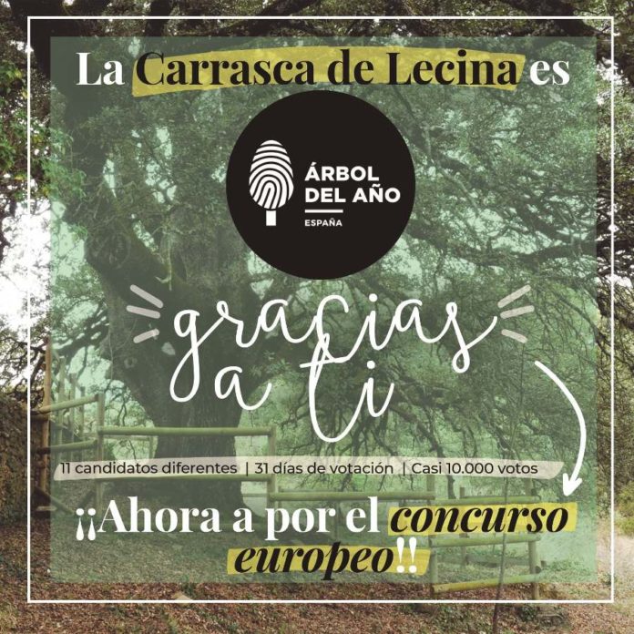 Carrasaca Milenaria de Lecina