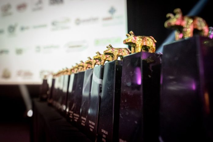 Premios Porc 2020