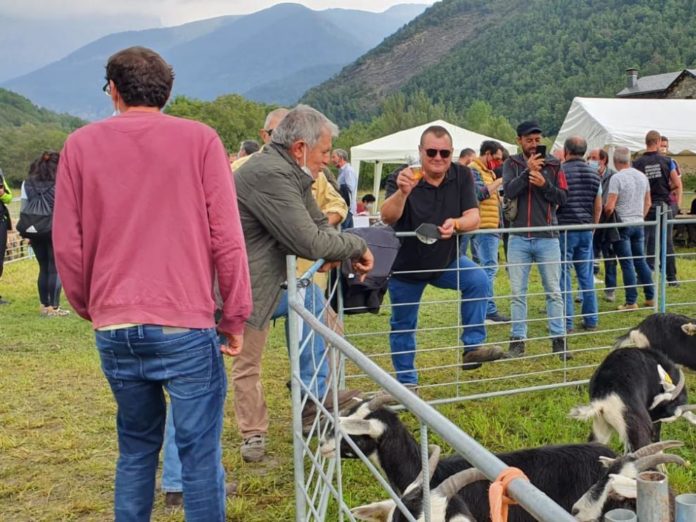 Feria de Broto