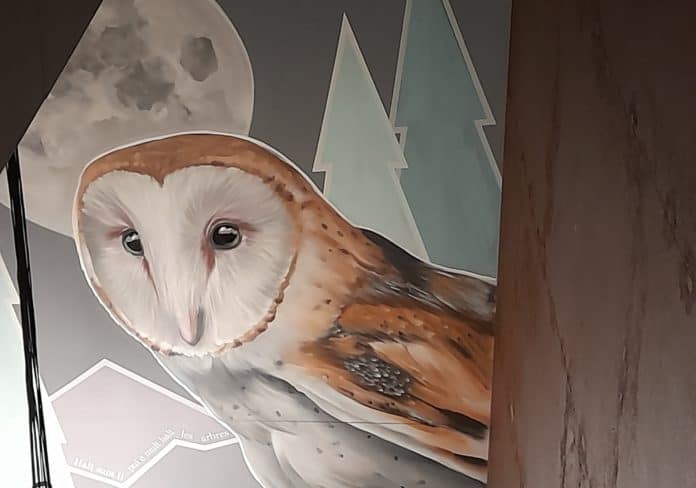 Boira, la nueva mascota de Espacio Pirineos (Foto: Servicio especial