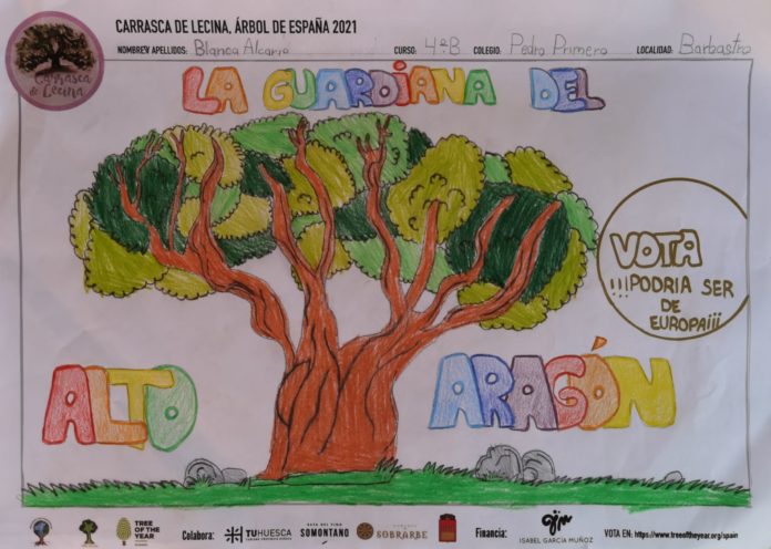 Carrasca Lecina