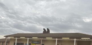 Se mantiene el diálogo y los trenes en Los Monegros