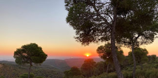Amanecer en la ZEPA de la Sierra de Sijena.