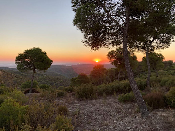 Amanecer en la ZEPA de la Sierra de Sijena.